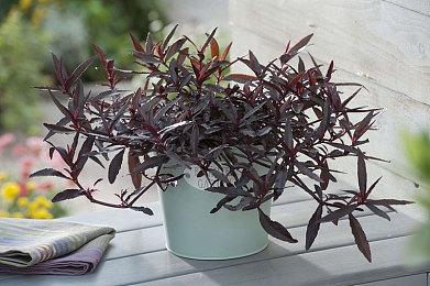 地牢探险《迷雾征程》7月27日发售 登陆PS4＆XB1＆PC