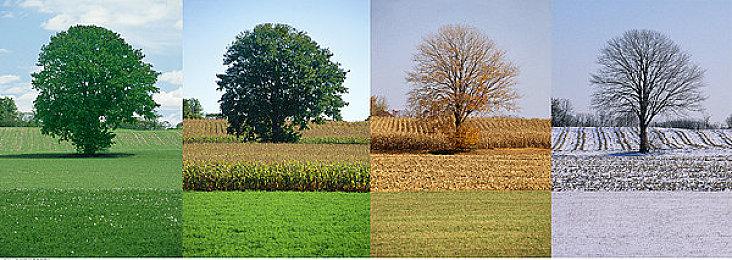 逆修复？《霍格沃茨之遗》补丁导致部分玩家遭遇更多卡顿