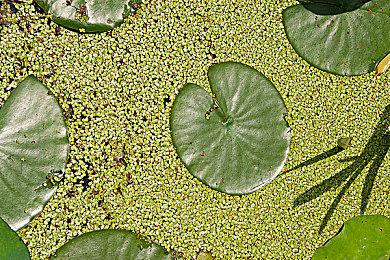 《泰坦之旅2》抢先体验跳票！将于今夏推出